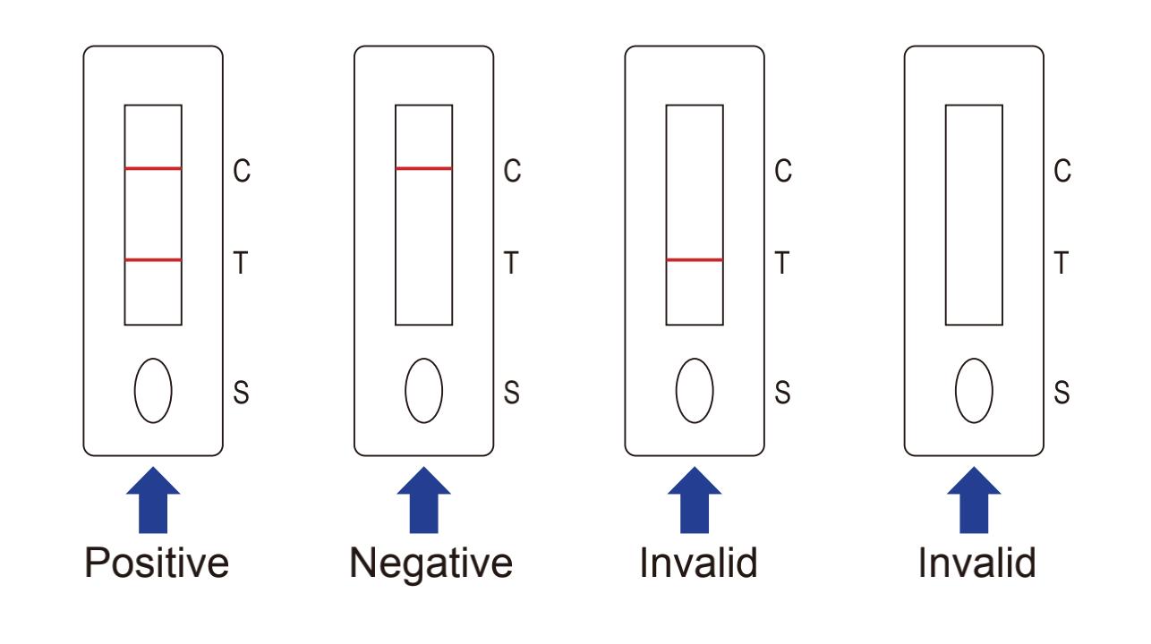SARS-COV-2 Nucleocapsid (N) Antigen Rapid Detection Kit (Colloidal gold method) — Saliva Test