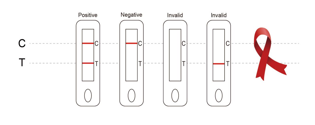 人类免疫缺陷病毒(1/2/O型)抗体检测试剂盒（胶体金法）